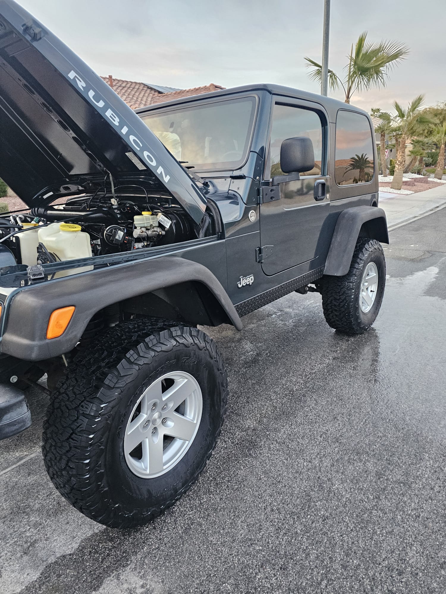 Engine and bodywork washing